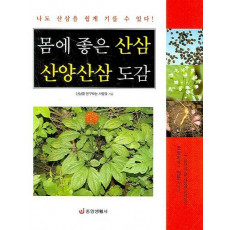 몸에 좋은 산삼 산양산삼 도감