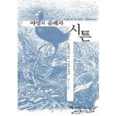 야생의 순례자 시튼