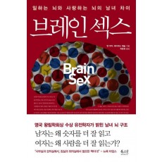 브레인 섹스