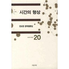 시간의 형상: 전도현 문학평론집