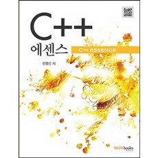 C++ 에센스