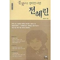 불꽃처럼 살다간 여인 전혜린