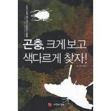 곤충 크게 보고 색다르게 찾자