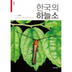 한국의 하늘소