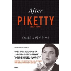 애프터 피케티(After Piketty)