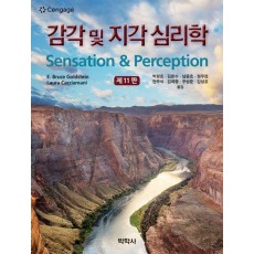 감각 및 지각심리학