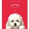 아미의 일기