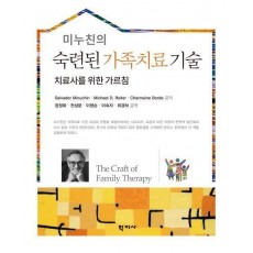 미누친의 숙련된 가족치료 기술