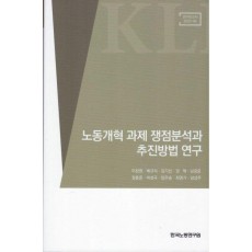 노동개혁 과제 쟁점분석과 추진방법 연구