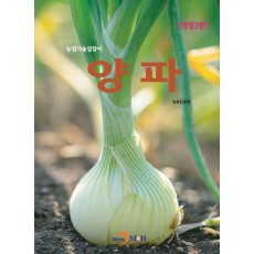 양파