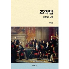 조약법 이론과 실행