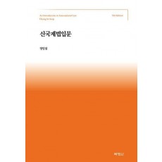신국제법입문