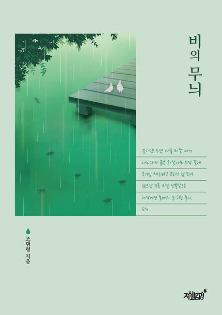 비의 무늬