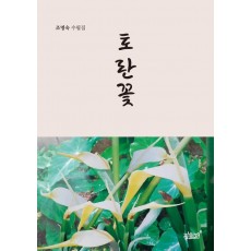 토란꽃