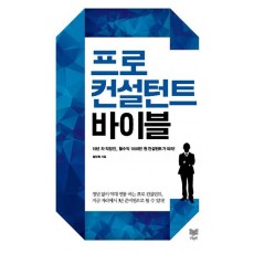 프로 컨설턴트 바이블