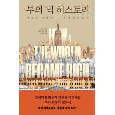 부의 빅 히스토리