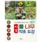야생 풀 나무 약초 도감