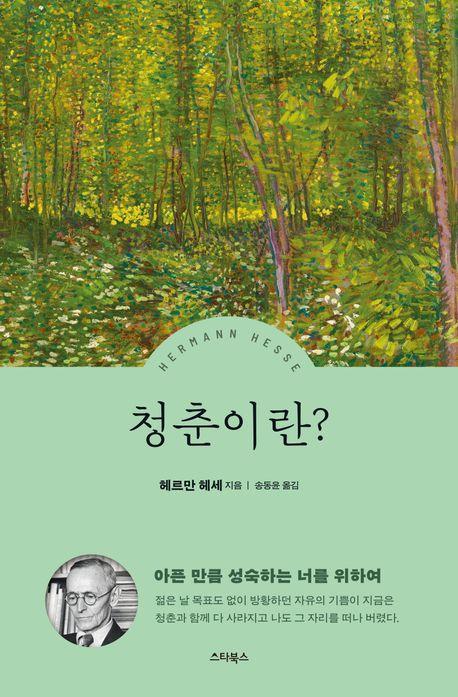 헤르만 헤세 청춘이란