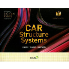 누드 자동차 모니터링(Car Structure Systems)