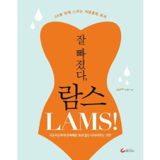 잘 빠졌다, 람스 LAMS!