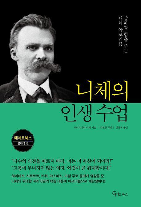 니체의 인생 수업(큰글자도서)