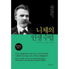 니체의 인생 수업(큰글자도서)