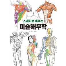 스케치로 배우는 미술해부학