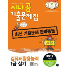 시나공 컴퓨터활용능력 1급 실기 기출문제집(2017)