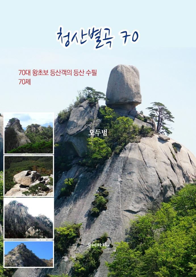 청산별곡 70