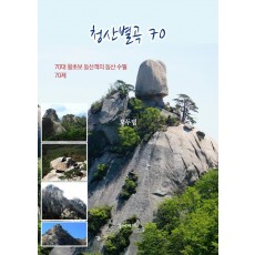 청산별곡 70