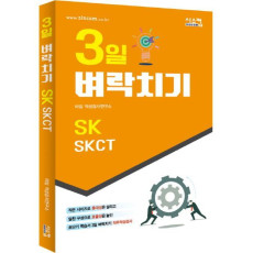 3일 벼락치기 SK SKCT