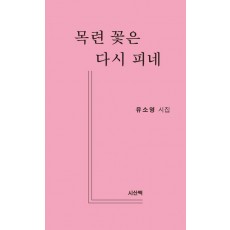 목련 꽃은 다시 피네