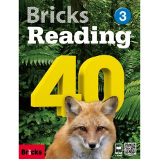 Bricks Reading 40. 3: SB(WB+CD)