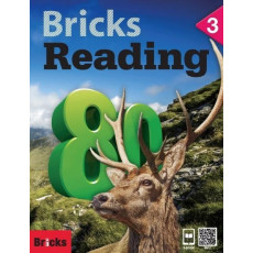 Bricks Reading 80. 3: SB(WB+CD)