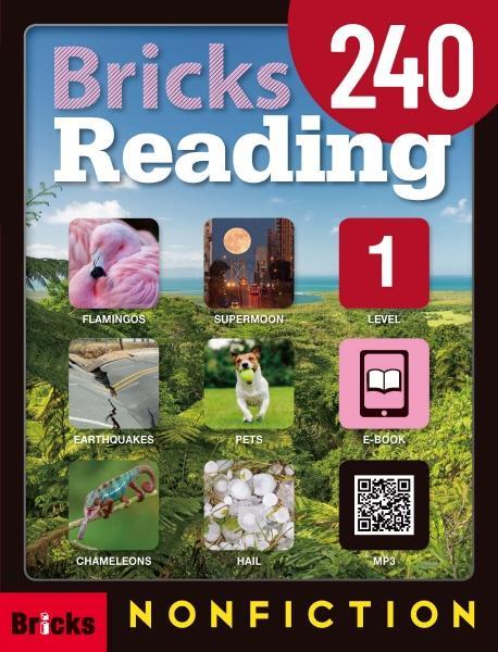 Bricks Reading 240. 1