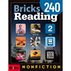 Bricks Reading 240. 2