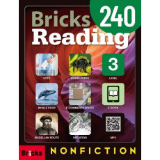 Bricks Reading 240. 3