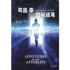 죽음 후 의식세계
