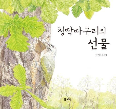 청딱따구리의 선물(빅북)