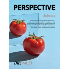 PERSPECTIVE DUX vol 13: Reflection