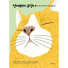 연애보다 고양이
