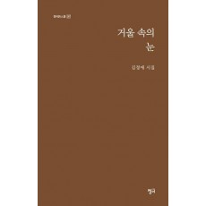 거울 속의 눈