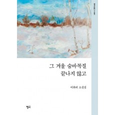 그 겨울 숨바꼭질 끝나지 않고