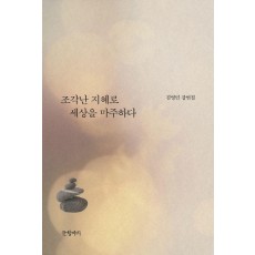 조각난 지혜로 세상을 마주하다