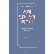 세계 언어 속의 중국어