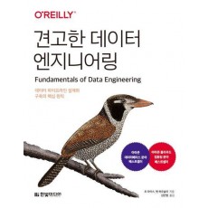 견고한 데이터 엔지니어링