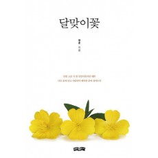 달맞이꽃