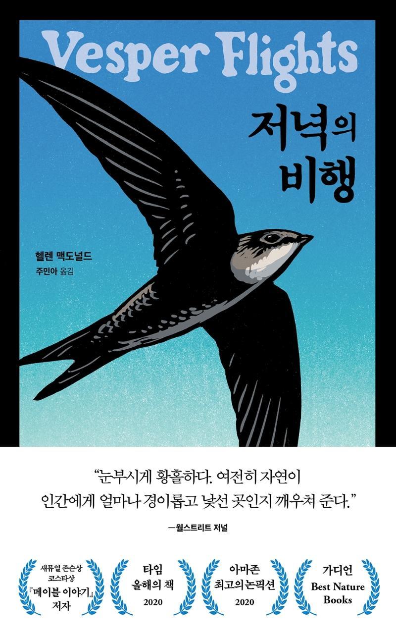 저녁의 비행