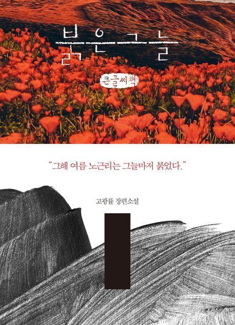 붉은 그늘(큰글자책)