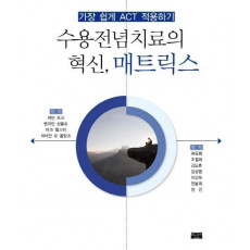 수용전념치료의 혁신, 매트릭스